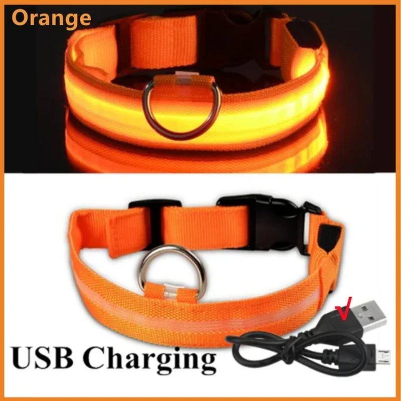 LED Dog Collar – Rechargeable Light for Night Safety