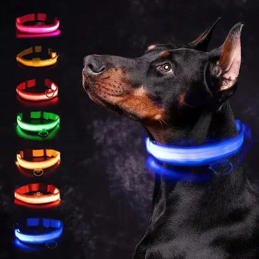 LED Dog Collar – Rechargeable Light for Night Safety