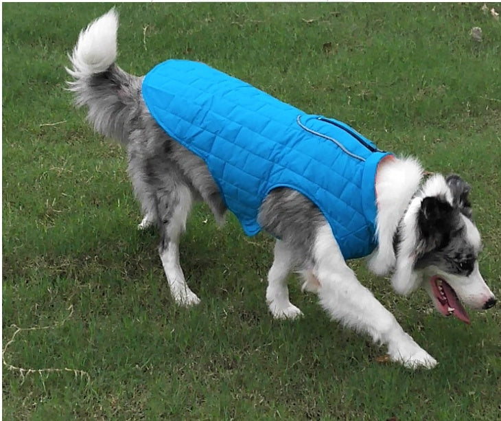 Abrigo impermeable para perros
