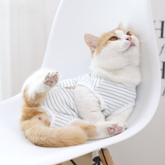 Cat Recovery Suit | Anti-Lick & Breathable