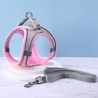Arnés para Gato con Correa – Cómodo, Ajustable y Seguro