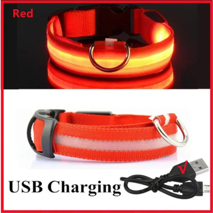 LED Dog Collar – Rechargeable Light for Night Safety