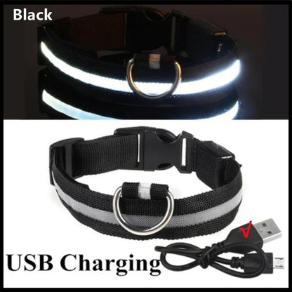 LED Dog Collar – Rechargeable Light for Night Safety