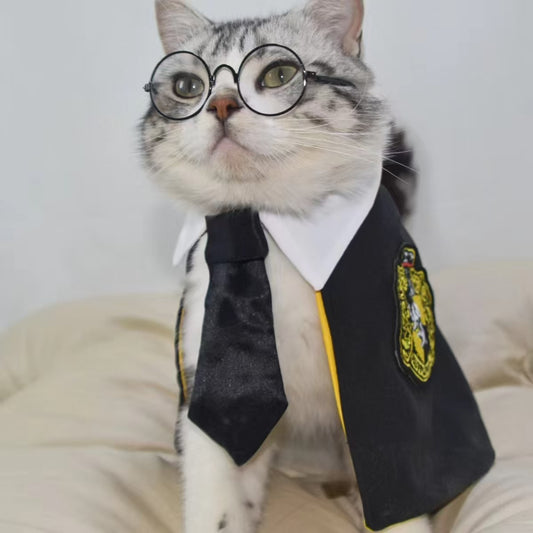 Disfraz de mago para perros y gatos