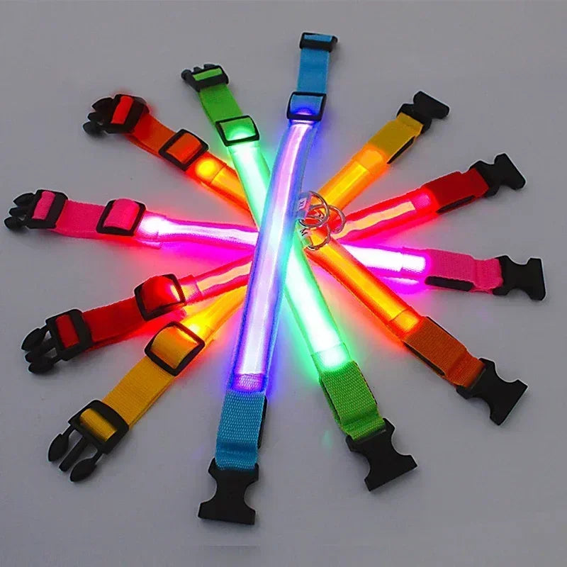LED Dog Collar – Rechargeable Light for Night Safety
