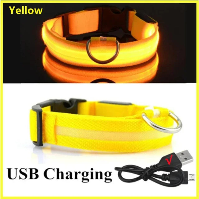 LED Dog Collar – Rechargeable Light for Night Safety