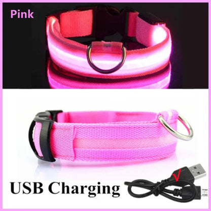 LED Dog Collar – Rechargeable Light for Night Safety