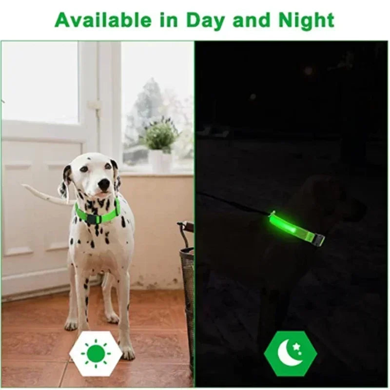 LED Dog Collar – Rechargeable Light for Night Safety