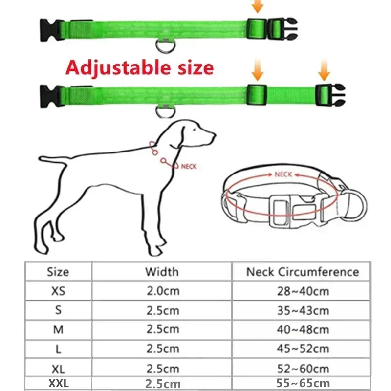 LED Dog Collar – Rechargeable Light for Night Safety