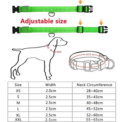 LED Dog Collar – Rechargeable Light for Night Safety