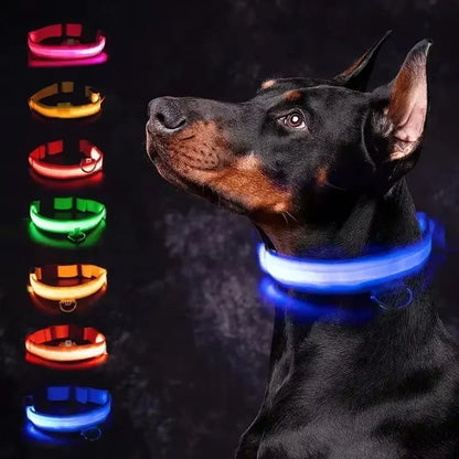 LED Dog Collar – Rechargeable Light for Night Safety