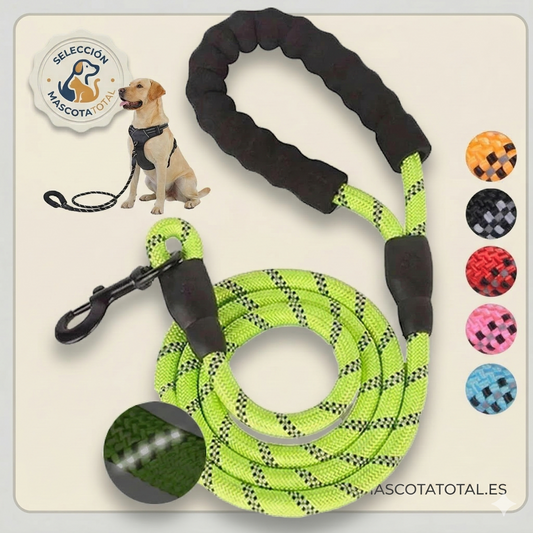 Correa reflectante para perros