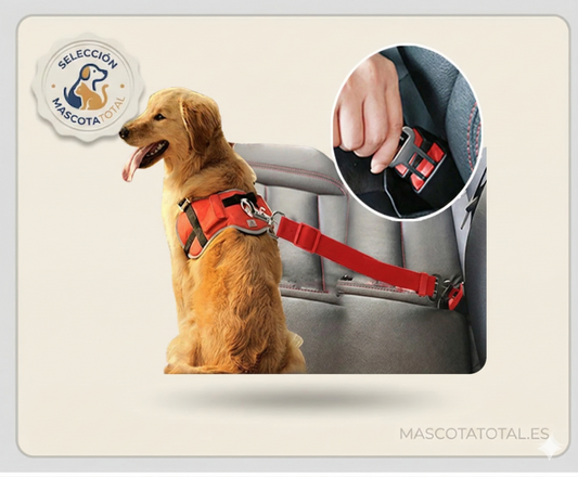 Cinturón de seguridad ajustable para mascotas