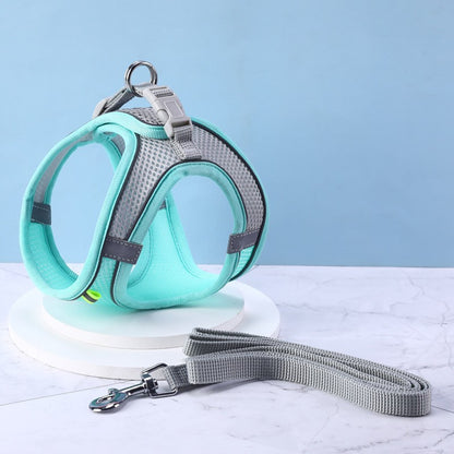 Arnés para Gato con Correa – Cómodo, Ajustable y Seguro