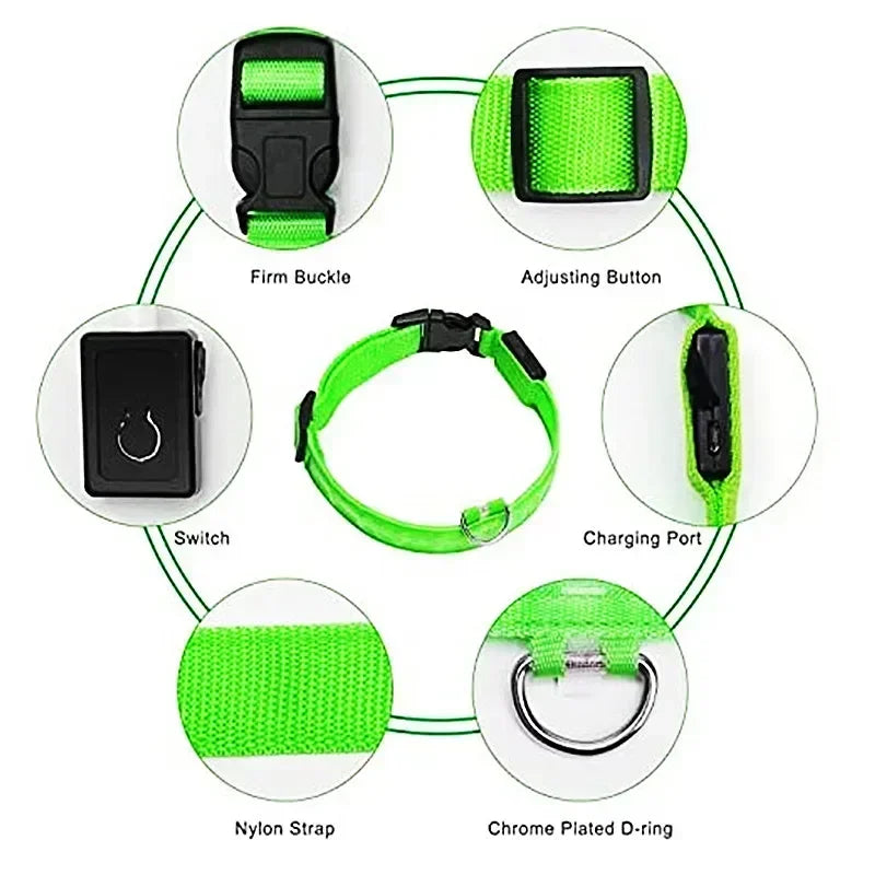 LED Dog Collar – Rechargeable Light for Night Safety