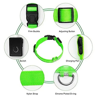 LED Dog Collar – Rechargeable Light for Night Safety