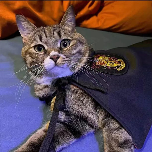 Wizard Pet Costume | Dog & Cat Outfit Set