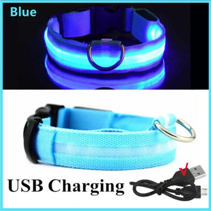 LED Dog Collar – Rechargeable Light for Night Safety