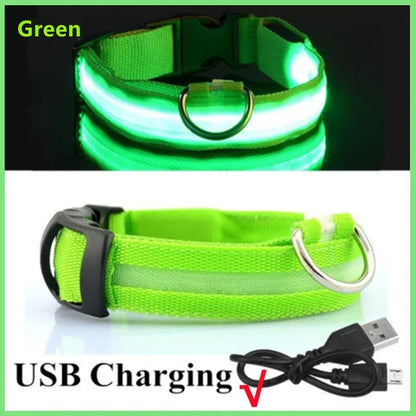 LED Dog Collar – Rechargeable Light for Night Safety